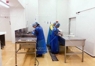 送福利 推荐广大商家一家新西兰花胶 海参 鹿产品生产工厂