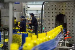 又一国产饮料巨头倒下 曾年卖50亿请范冰冰代言,如今老板失联