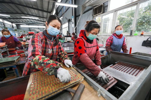 贵州大龙 扶贫工厂外贸产品复工复产忙